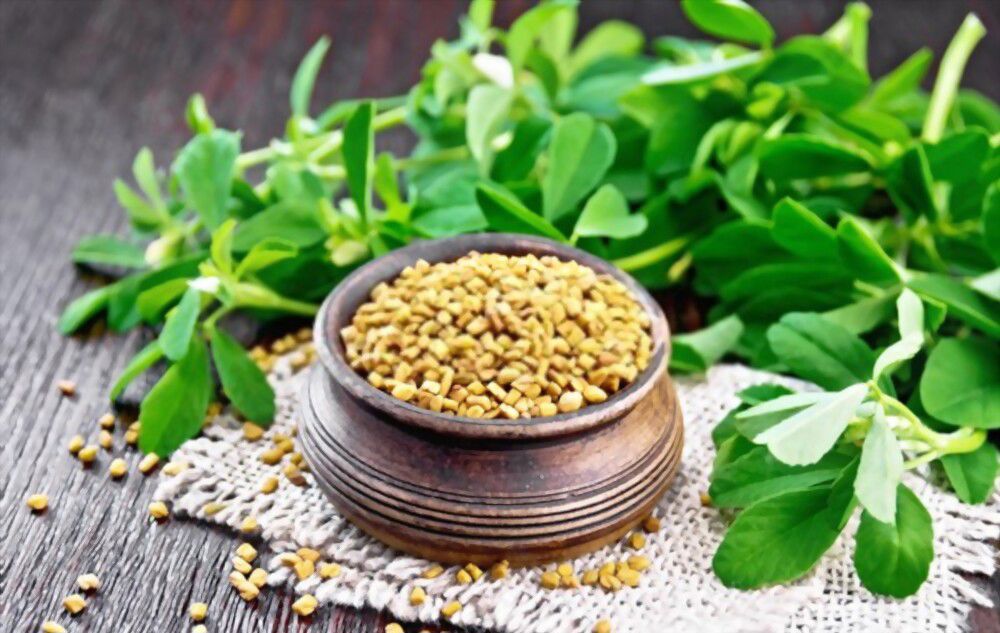 Fenugreek healing benefits Fenugreek is an ancient superfood that has countless healing benefits for your body and mind!