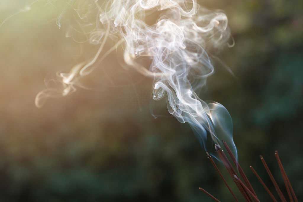Mugwort incense has a very effective air purifying effect.