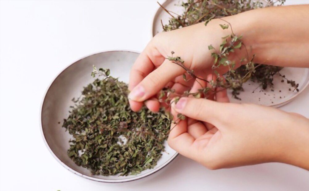psychic abilities Marjoram Enhance your psychic abilities with the help of Marjoram!