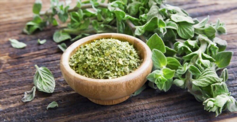 The beauty of oregano lies in its symbolic meanings; from ancient Greek culture to modern day, this herb is a representation of joy and abundance.
