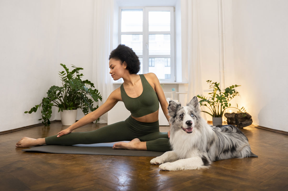 Palo santo is safe for dog Palo santo is safe and calming for both you and your canine buddy!