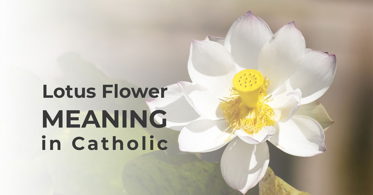 lotus flower meaning in catholic