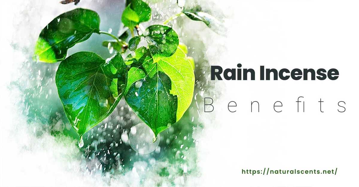 5 Benefits of Rain Incense