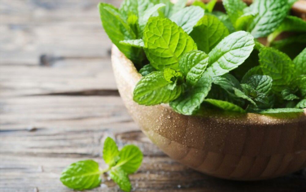 Refreshing mint Refreshing mint - it's the perfect way to freshen up your day!