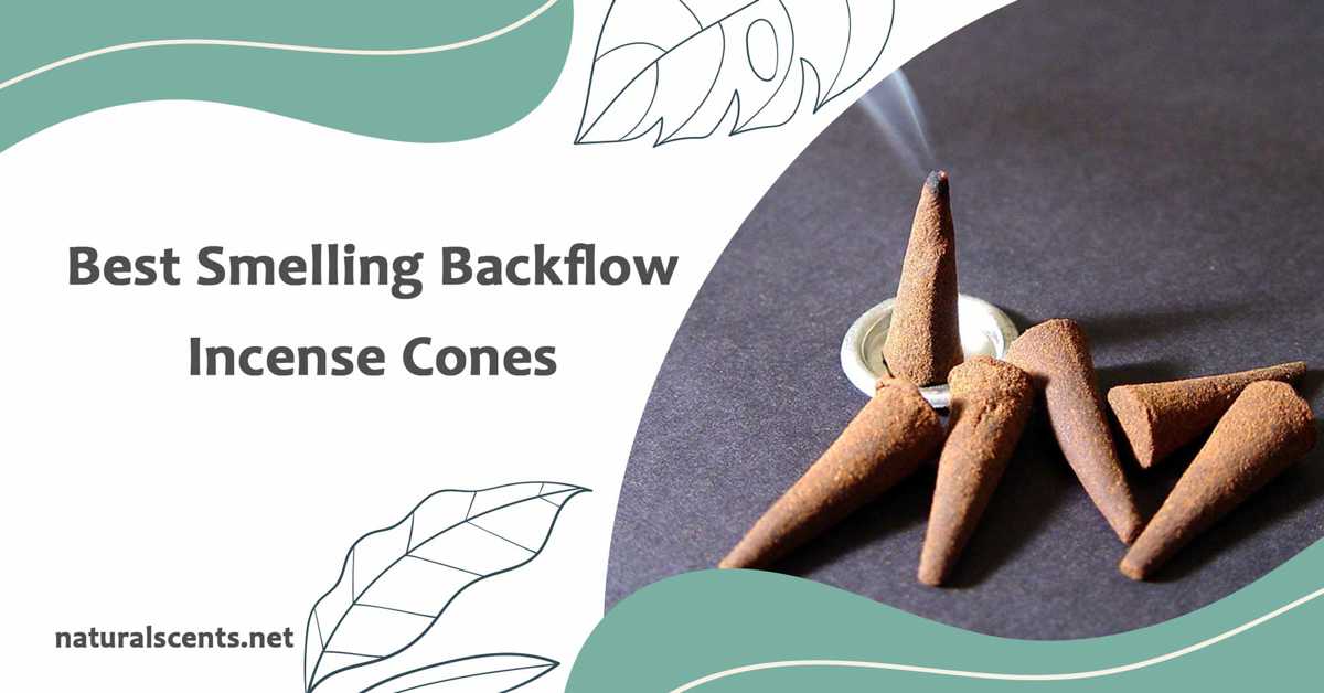 Top 11 best smelling backflow incense cones