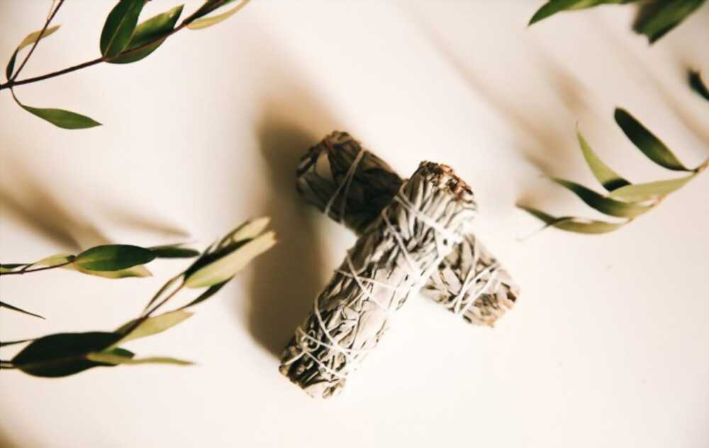 eucalyptus incense Keep the bugs away naturally with the fresh scent of eucalyptus incense!
