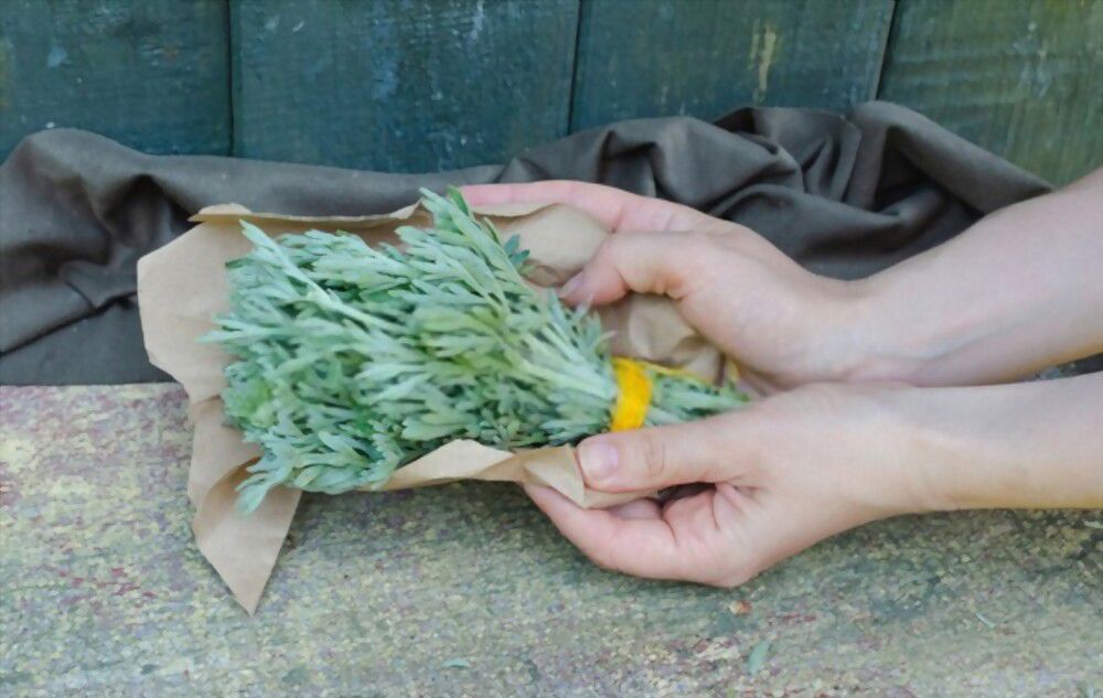 Delve into the murky depths of history and discover the truth about Wormwood