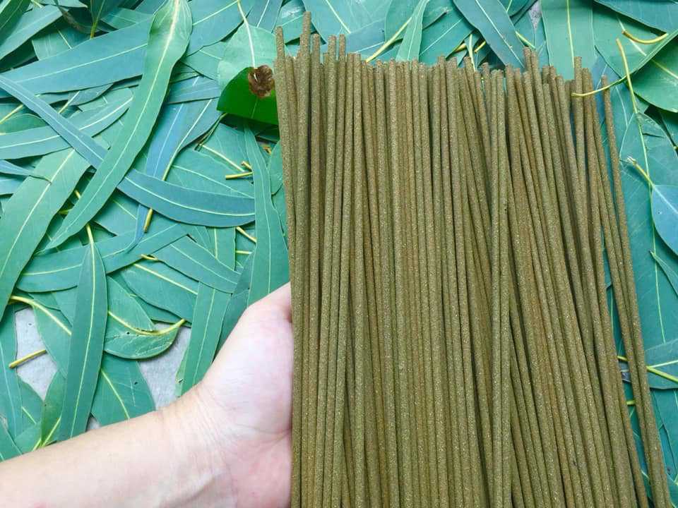 Eucalyptus incense A bunch of eucalyptus incense