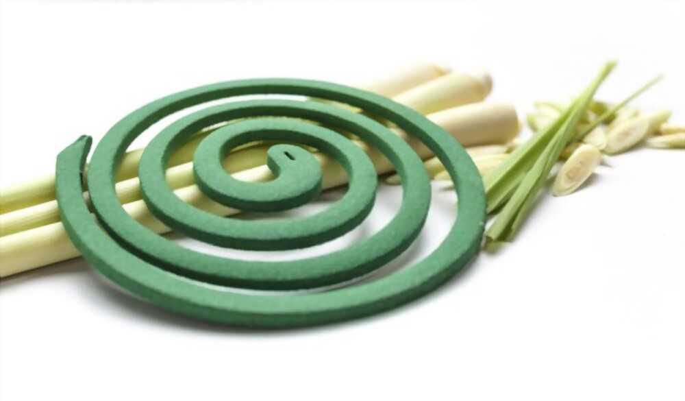 Lemongrass incense Light up your home with the soothing smell of Lemongrass incense and keep bugs away!