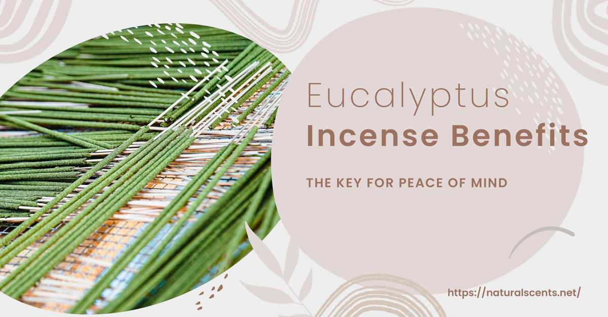 5 benefits of eucalyptus incense