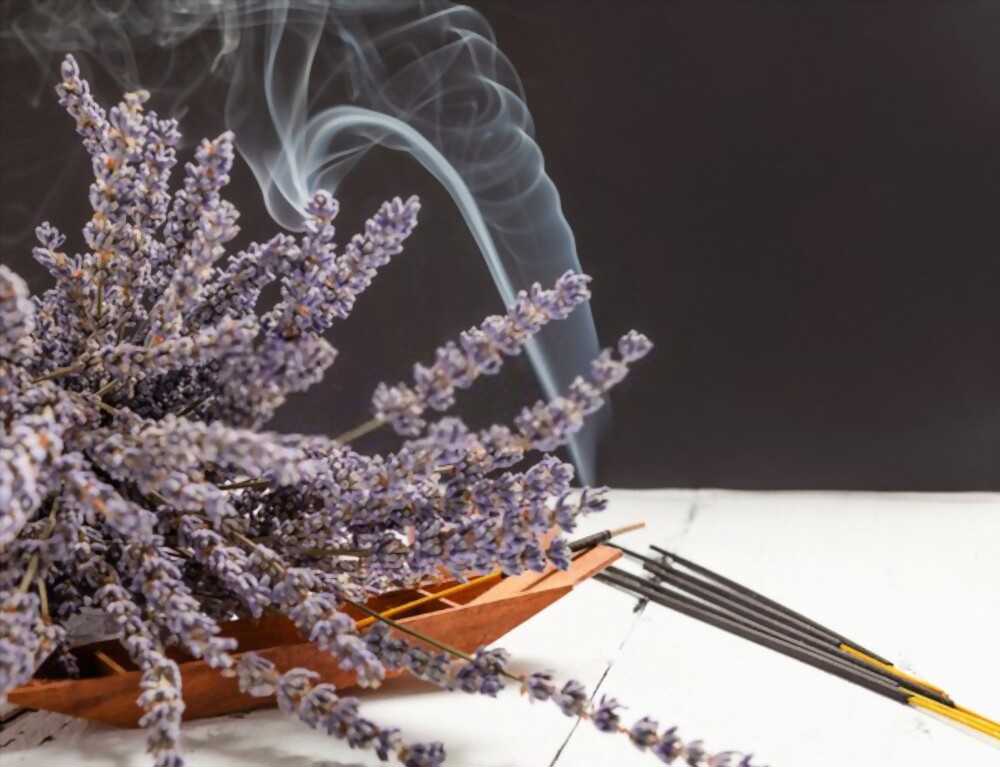 lavender incense Give your outdoor space a mosquito-free makeover with our lavender incense!