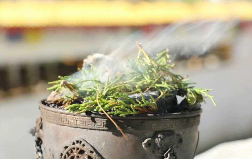 The spicy and warm aroma of Juniper will help you focus more on meditation and yoga.