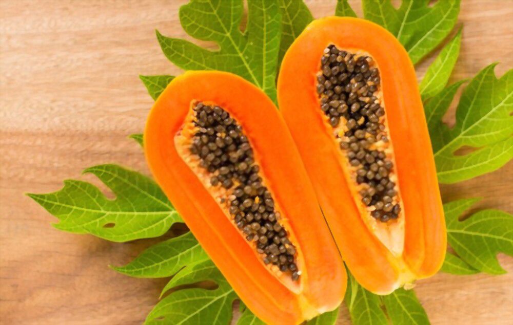 From its origin in the tropics, papaya has made its way around the world, delivering delicious flavor and nutrition everywhere it goes!