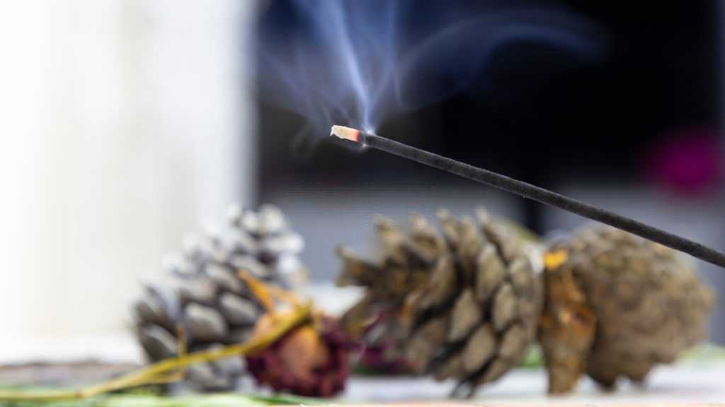 The Ultimate Guide to Balsam Fir Incense