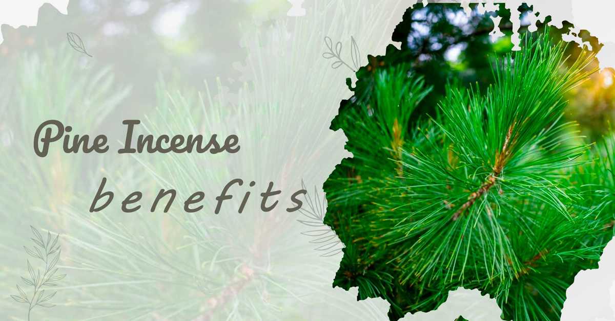 5 Benefits of Pine Incense