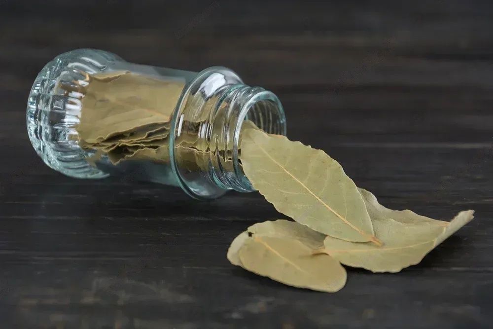 prepared bay leaves Bring your dreams to life by setting intentions with bay leaves!