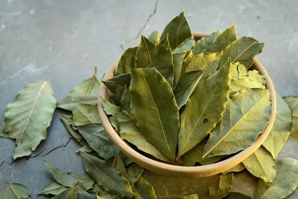 Manifest withs bay leaves Manifest a greater sense of wellbeing by incorporating bay leaves into your ritual.