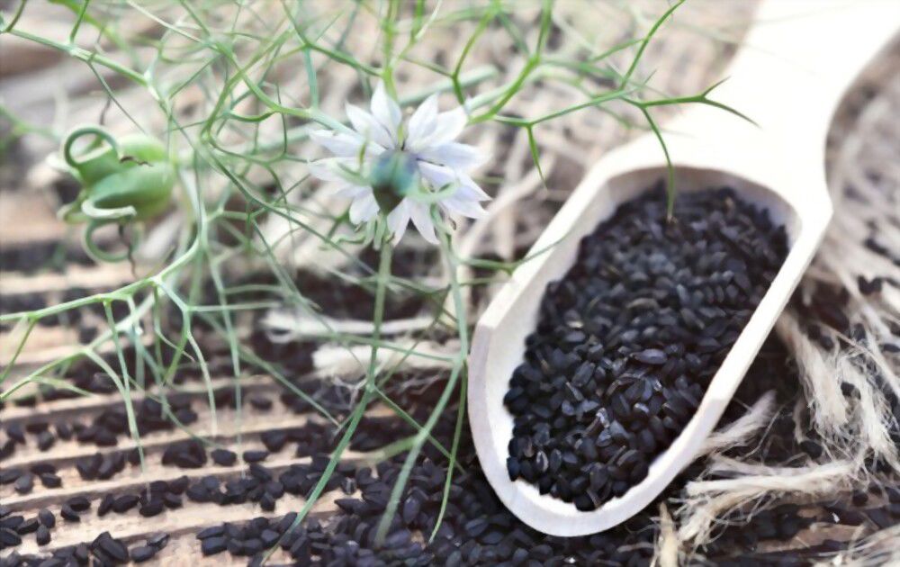 spiritual black seed! Discover a new world of spiritual connection using black seed!