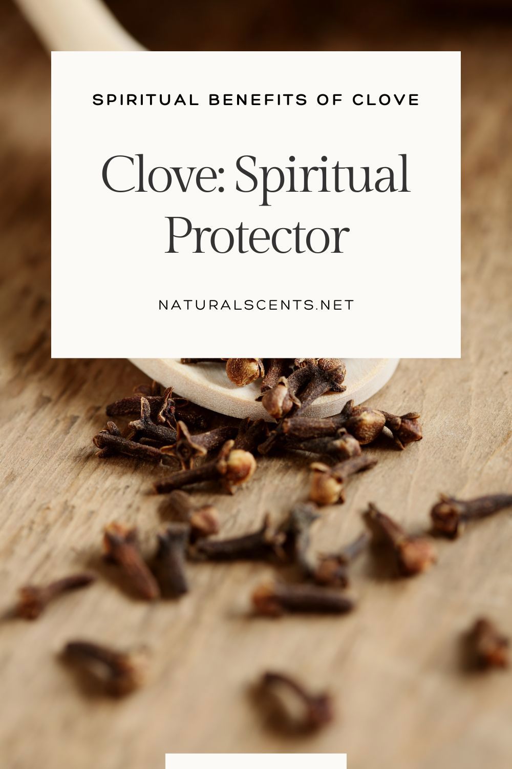 Clove: Spiritual Protector