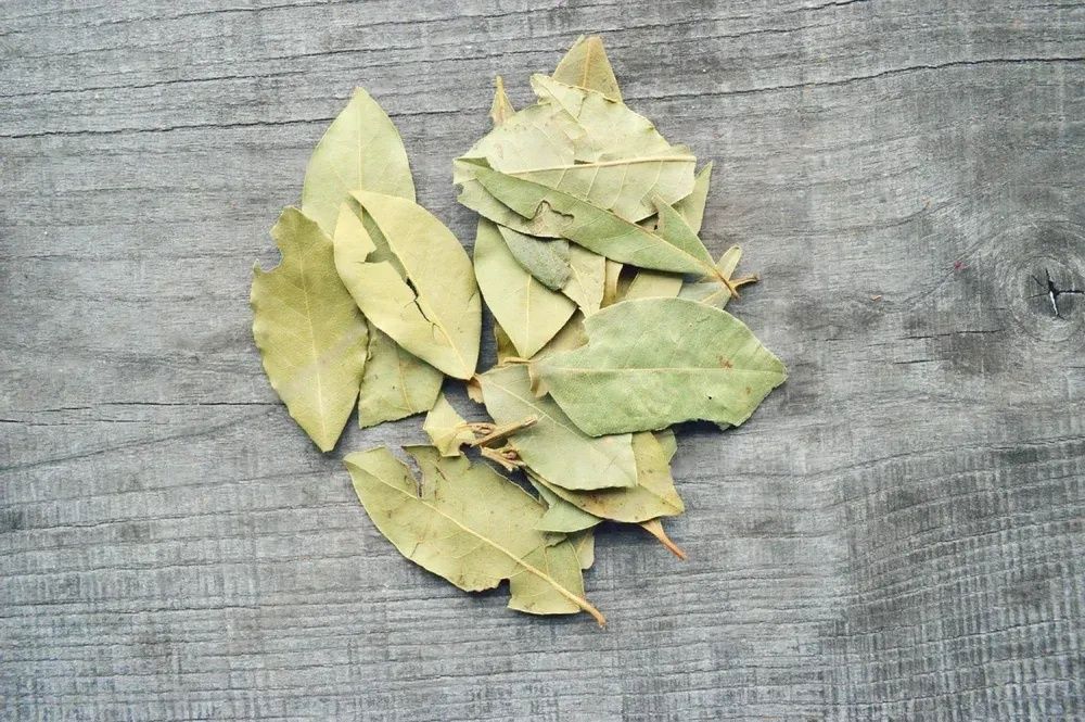 Create abundance using bay leaves Create abundance and manifest success using bay leaves as your source of magic!