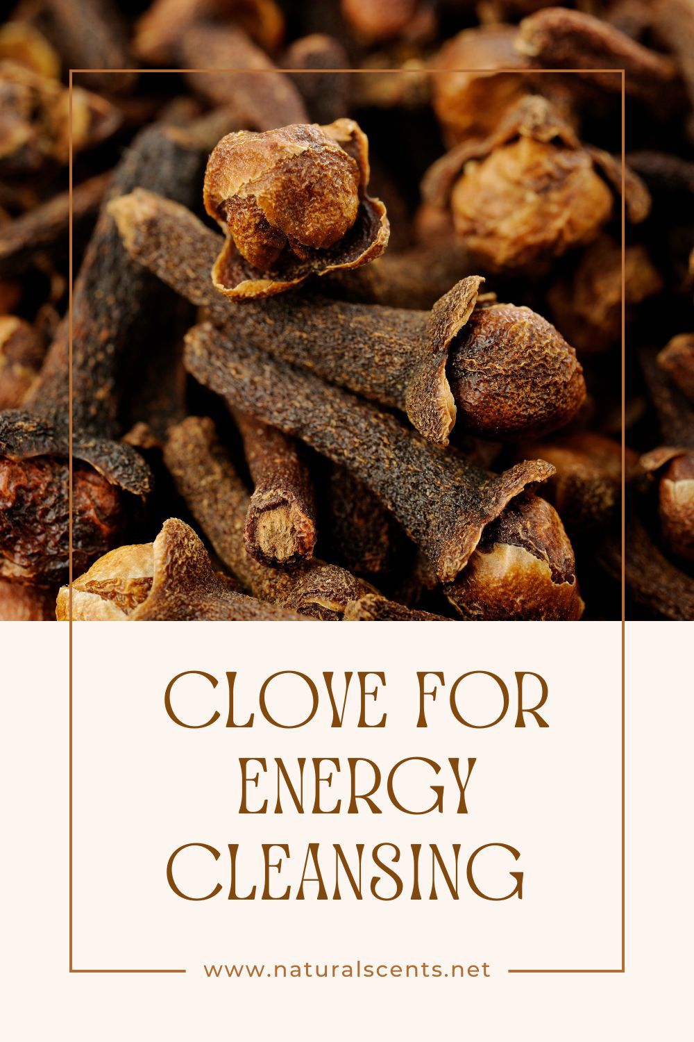 Clove for Energy Cleansing