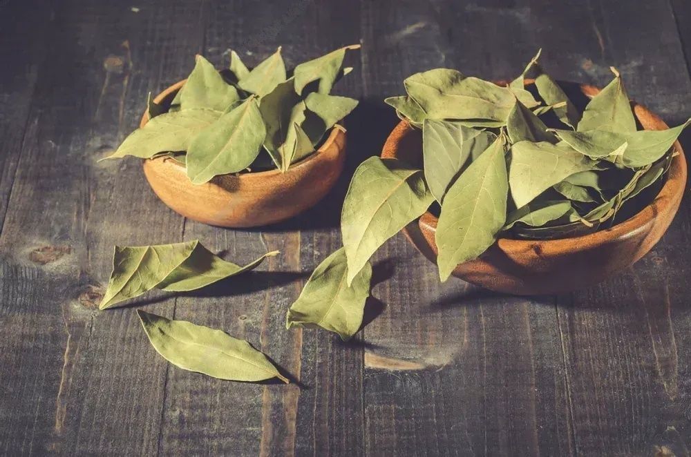 spirituality Light some bay leaves for a soothing ritual that'll help ease your mind.