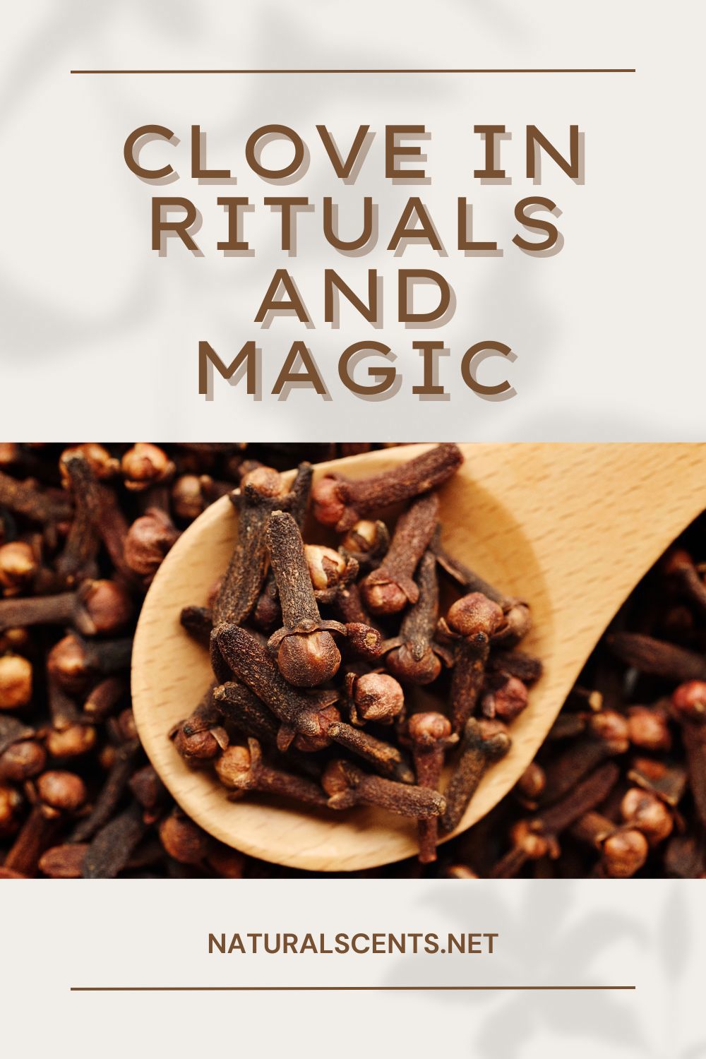 Clove in rituals and magic  
