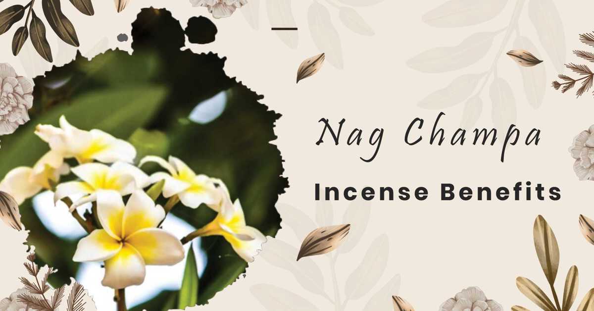5 benefits of nag champa incense