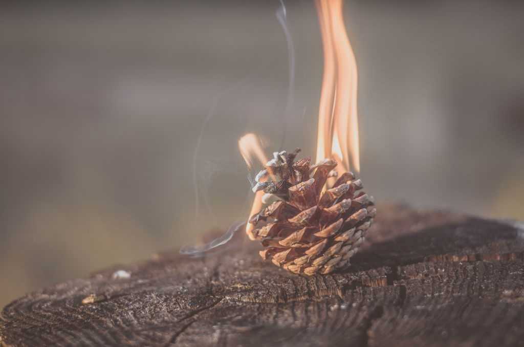 Pine incense can be used for many different purposes.