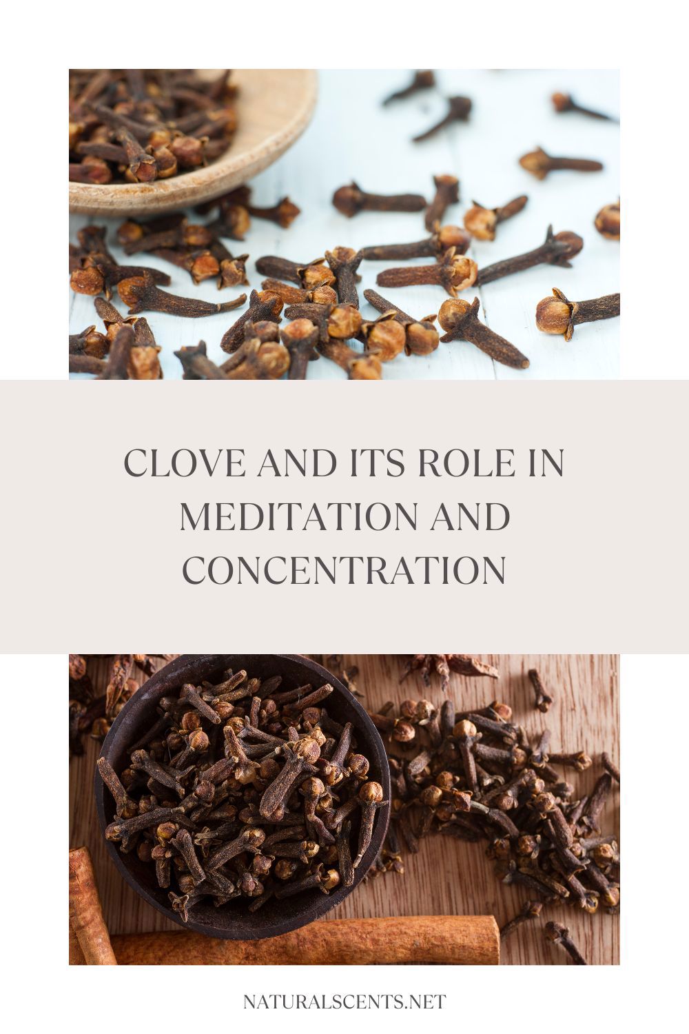 Clove and Its Role in Meditation and Concentration
