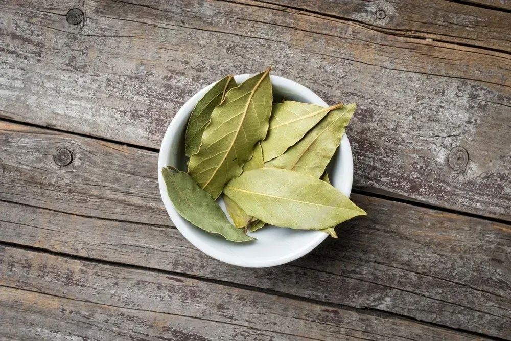 light some bay leaves Get rid of negative energy - light some bay leaves before bedtime.