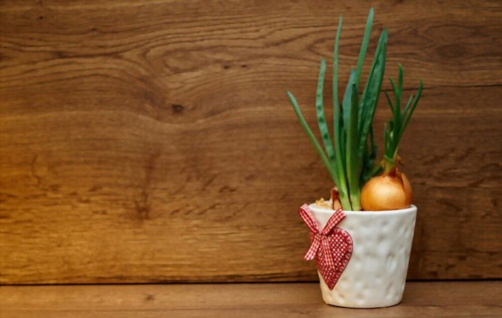 Using onion Using onion for spiritual enlightenment.