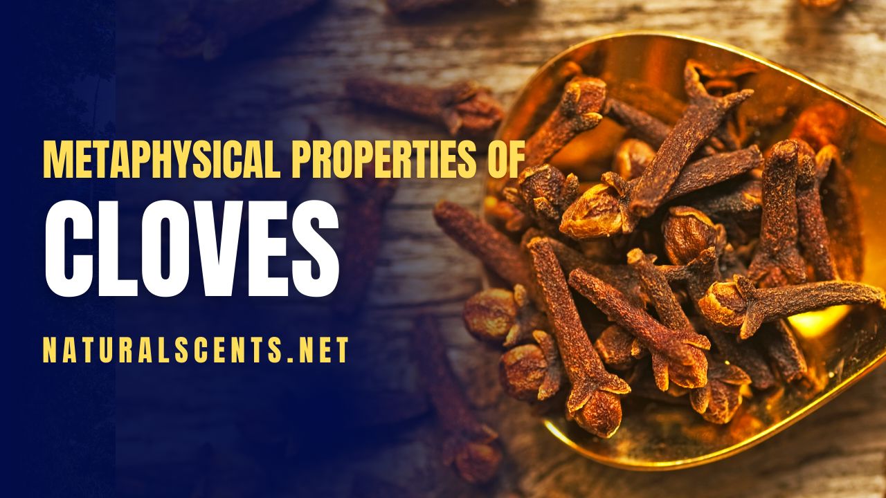 Clove, an aromatic spice of the evergreen tree Syzygium aromaticum, has been highly valued in culinary and metaphysical contexts alike for its spiritual potency. Clove has played an instrumental role in many spiritual disciplines for centuries as a tool to heighten energy, bring about better grounding, provide protection with its energies, and offer maximum concentration during meditation and devotion. 