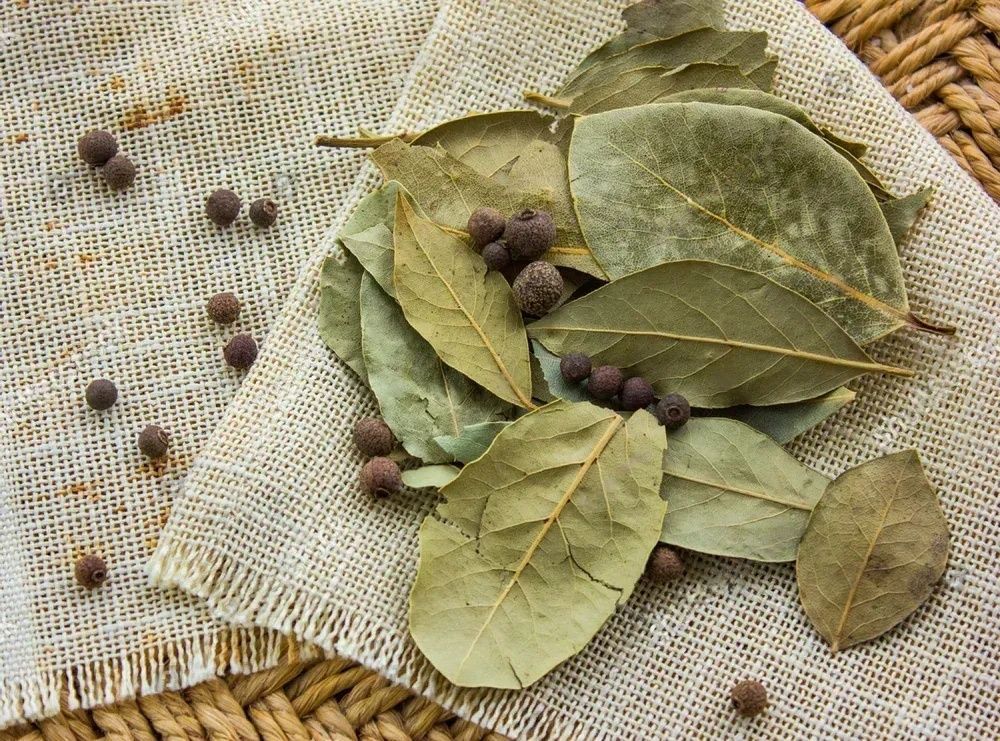 Keep a bay leaf under your pillow for protection from negative energy and bad dreams!