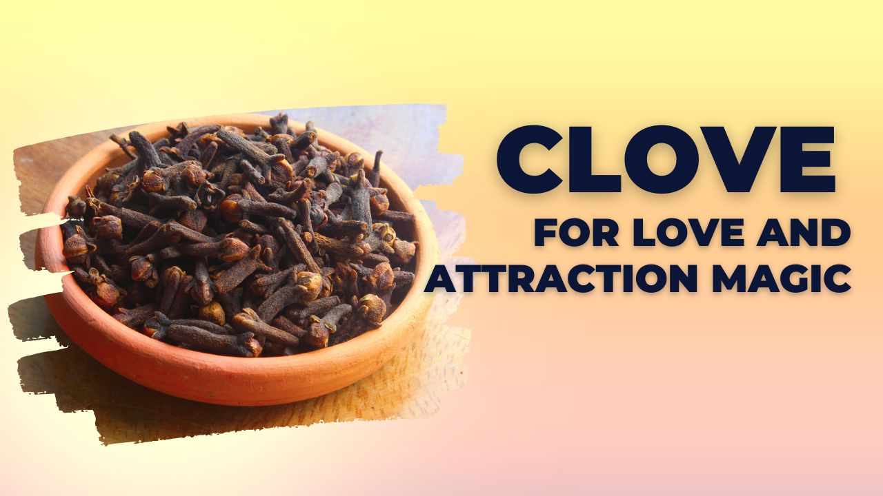 Clove is a potent, magical plant whose historical roots run deep around love, attraction, and emotional healing. Its history goes back thousands of years, where it is traditionally used from Indian Ayurvedic medicine to Western occultism. For more insights into clove's spiritual significance, check out The Spiritual Benefits of Clove: Unlocking Energy and Protection. 