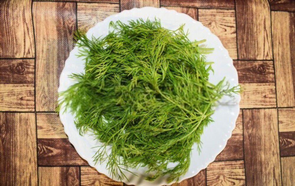 The Dill Weed Spiritual Meaning A Deeper Look