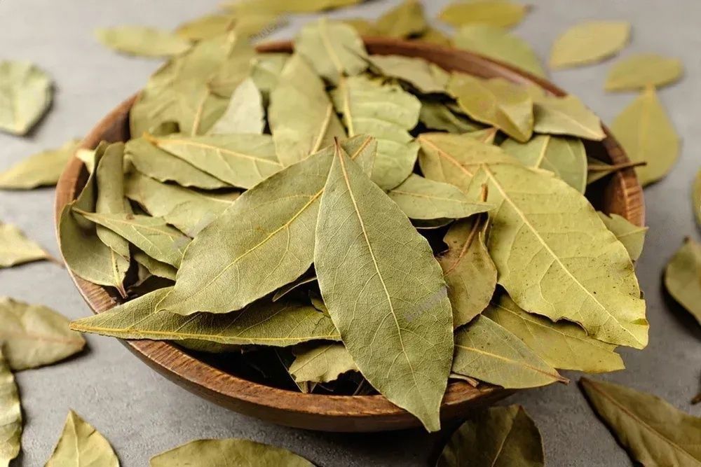 bay leaves bring wealth Let the power of bay leaves bring wealth and prosperity to your home.