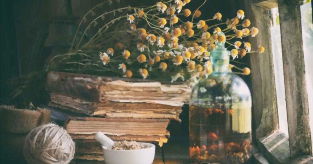 7 spiritual benefits of chamomile.