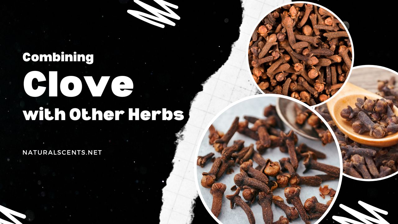 Combining Clove with Other Herbs