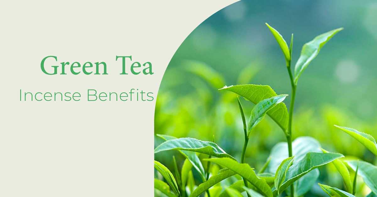 5 Benefits of Green Tea Incense