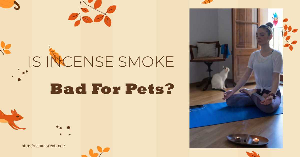 Is incense smoke bad for pets?