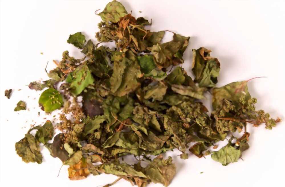 11 Incense for Love and Attraction Boost Your Romance with These