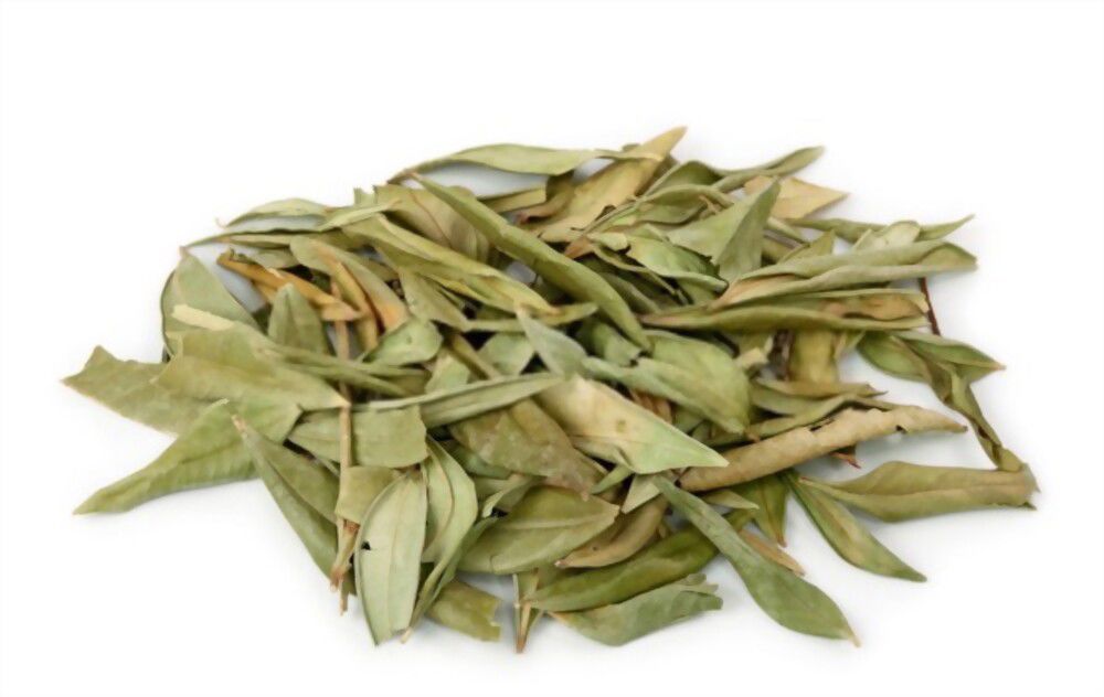 Root Chakra with Lemon Myrtle Unlock Your Root Chakra with Lemon Myrtle!