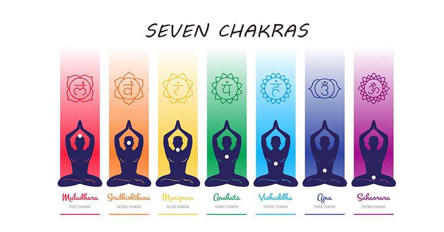 The seven chakra The seven chakra