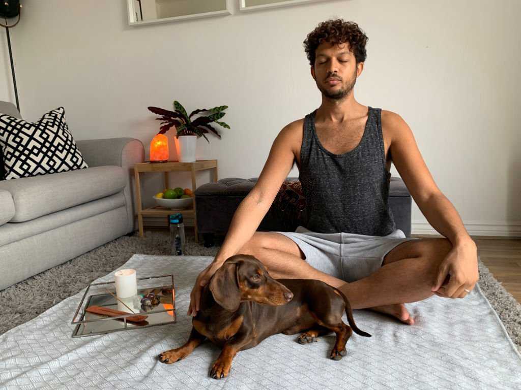 Dogs and cats can still live in an environment with incense smoke, but safety rules need to be ensured.