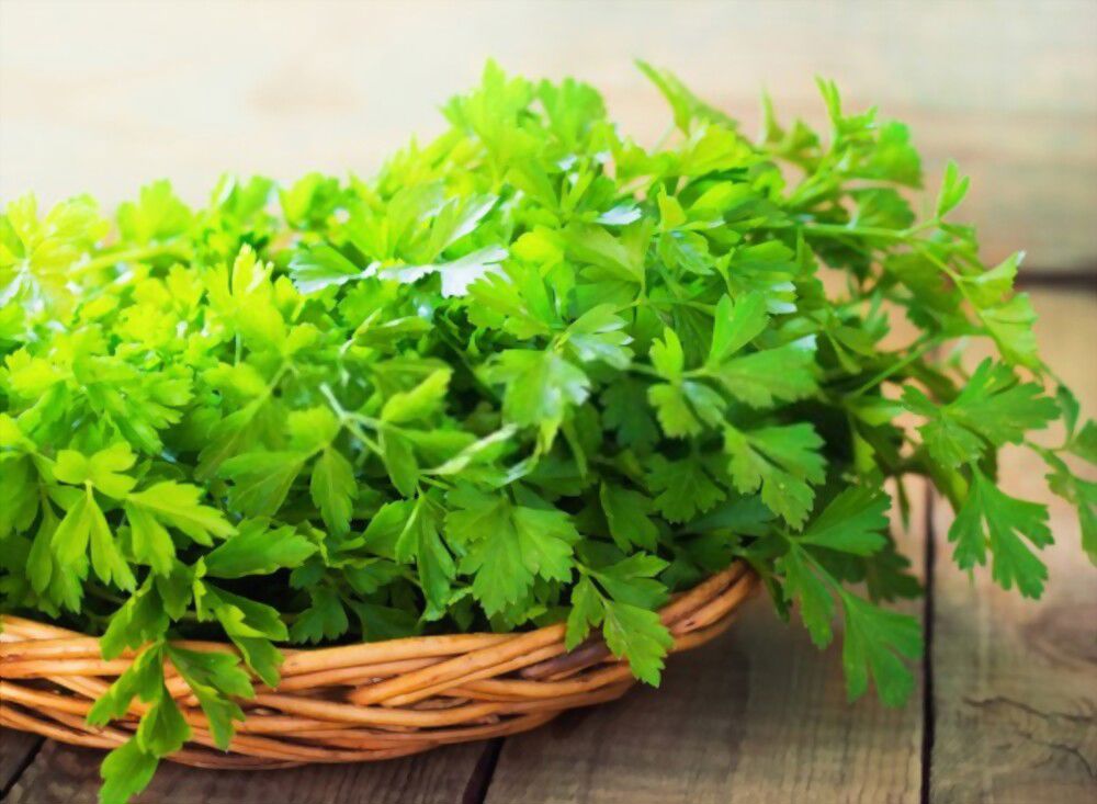 The Spiritual Meaning of Parsley and How It Can Transform Your Life