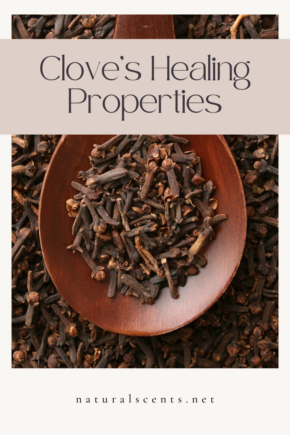 Clove’s Healing Properties