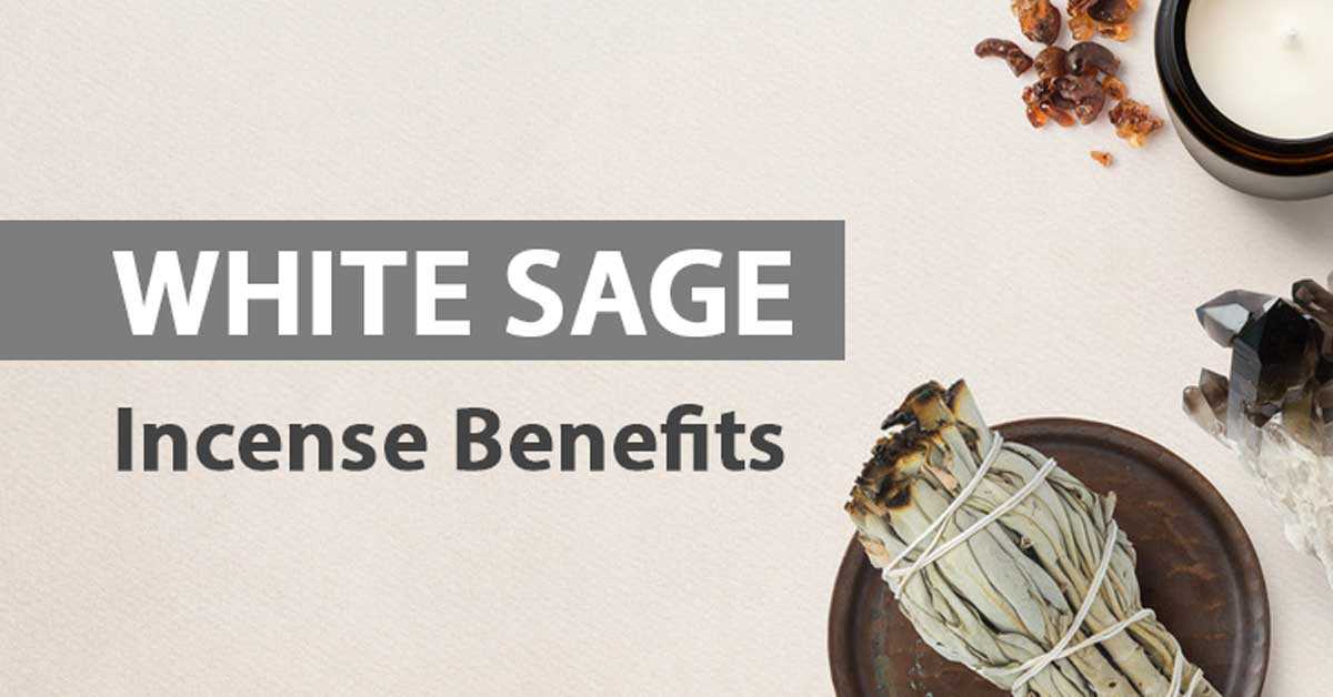 White sage incense benefits