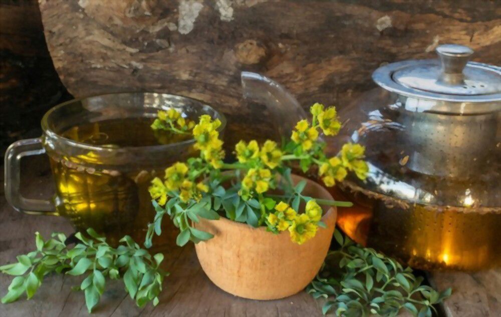 Rue history Rue's long history of use dates back to Ancient Greece where it was believed to bring good luck and ward off evil spirits.