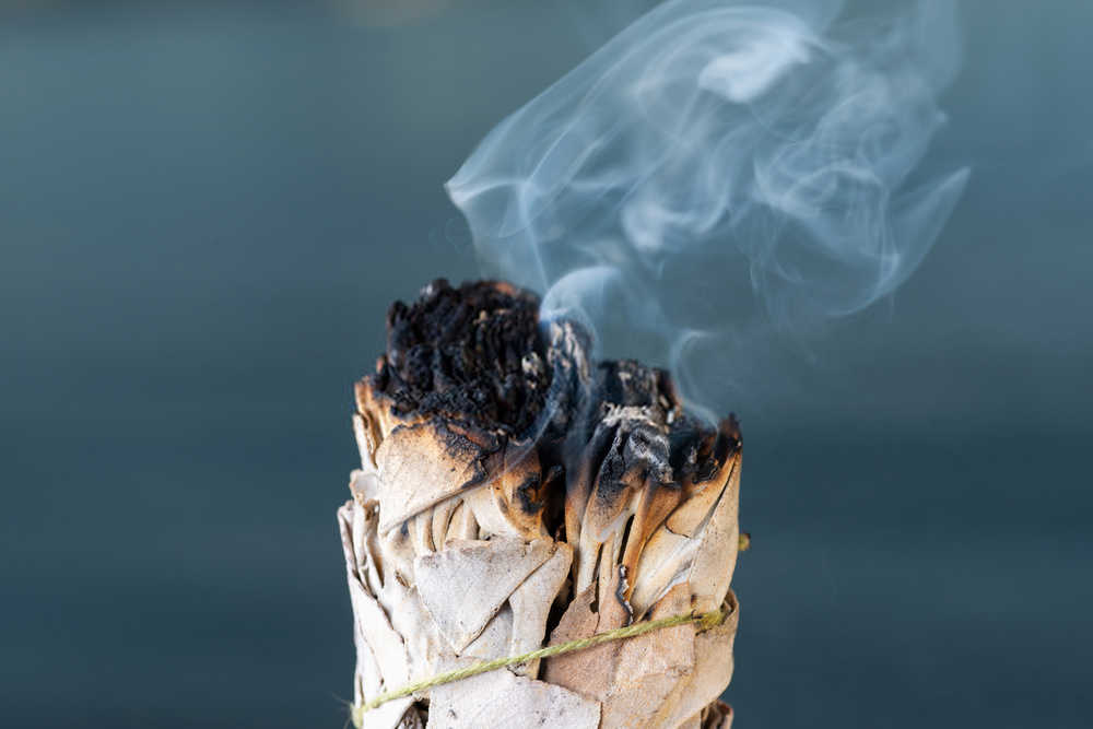 5 Benefits Of White Sage Incense For Spiritual And Health